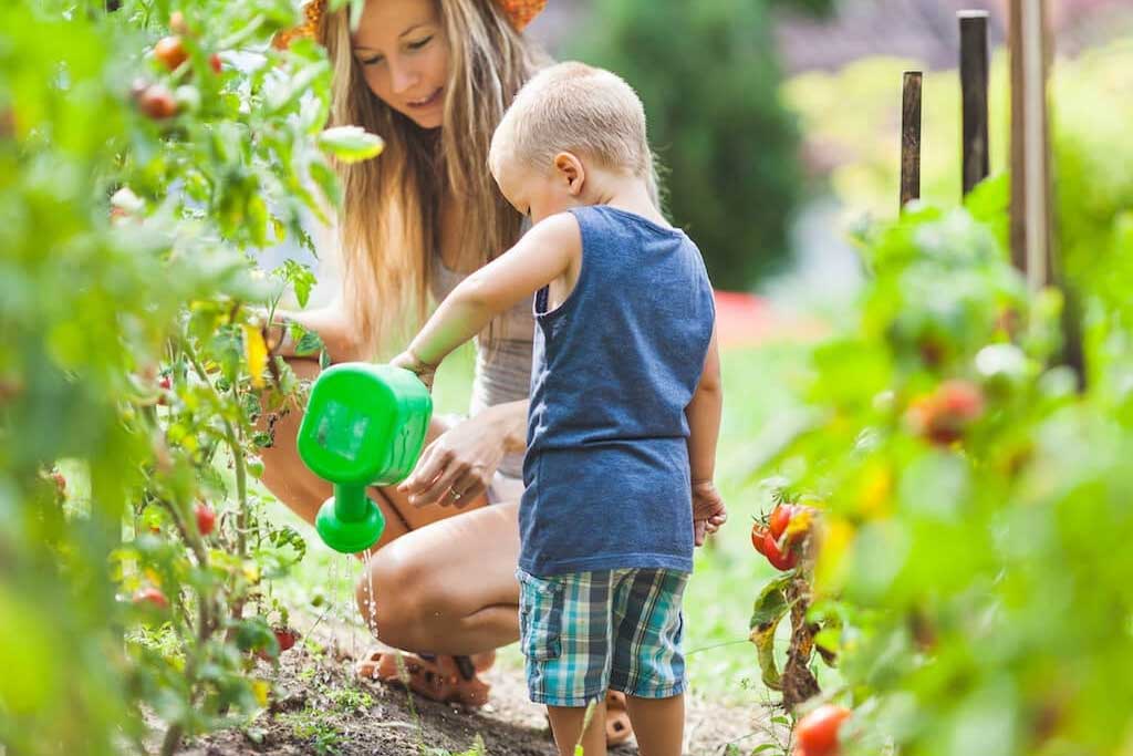 Use this time with the kids—to talk or teach them about the environment